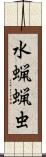 水蝋蝋虫 Scroll