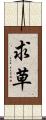 求草 Scroll