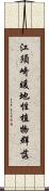 江須崎暖地性植物群落 Scroll