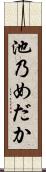 池乃めだか Scroll