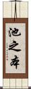 池之本 Scroll