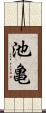 池亀 Scroll