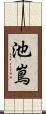 池嶌 Scroll