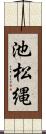 池松縄 Scroll