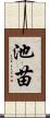池苗 Scroll