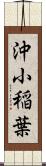 沖小稲葉 Scroll