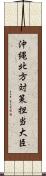 沖縄・北方対策担当大臣 Scroll