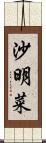 沙明菜 Scroll