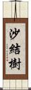沙結樹 Scroll