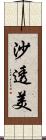 沙透美 Scroll