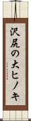 沢尻の大ヒノキ Scroll