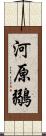 河原鶸 Scroll