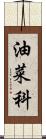 油菜科 Scroll