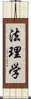 法理学 Scroll