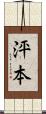 泙本 Scroll