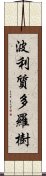 波利質多羅樹 Scroll