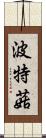 波特菇 Scroll
