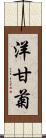 洋甘菊 Scroll