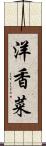 洋香菜 Scroll