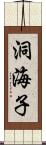 洞海子 Scroll