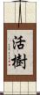 活樹 Scroll