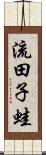 流田子蛙 Scroll