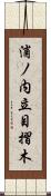 浦ノ内立目摺木 Scroll