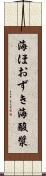 海ほおずき Scroll
