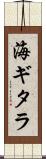 海ギタラ Scroll