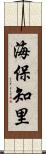 海保知里 Scroll