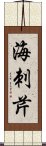 海刺芹 Scroll