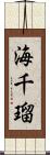 海千瑠 Scroll