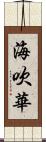海吹華 Scroll