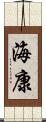 海康 Scroll