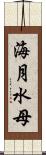 海月 Scroll
