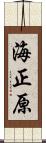 海正原 Scroll