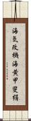 海気;改機;海黄;甲斐絹 Scroll