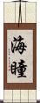 海瞳 Scroll