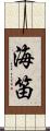 海笛 Scroll