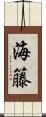海籐 Scroll