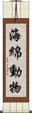 海綿動物 Scroll