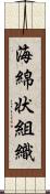 海綿状組織 Scroll