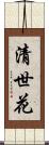 清世花 Scroll