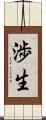 渉生 Scroll