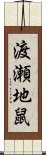 渡瀬地鼠 Scroll