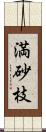 満砂枝 Scroll