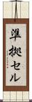 準拠セル Scroll