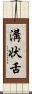 溝状舌 Scroll