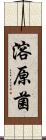 溶原菌 Scroll