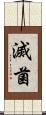 滅菌 Scroll